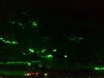 FatBoySlim @ Smukfest 2 The laser green tree